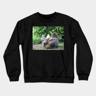 Baby on board - Hen and Chick Crewneck Sweatshirt